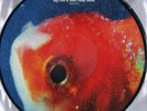 Vince Staples - Big Fish Theory (NEW 2 VINYL LP)