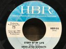 UNRELATED SEGMENTS Story Of My Life/It's Unfair MICHIGAN GARAGE PUNK 45 HBR VG++