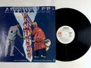 ARTHUR LEE Vindicator LP A&M SP 4356 US 1972 WHITE LABEL PROMO GATEFOLD VG+ LOVE