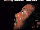 The Best of Muddy Waters [VINYL] Vinyl