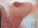 Pink Floyd  Meddle UK Press 1971 Harvest SHVL 795 - EX