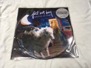 Fall Out Boy Infinity On High 12 inch vinyl LP record picture disc Pic W/Sleeve