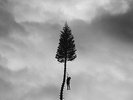 A Black Mile To The Surface [2 LP][Deluxe Edition].