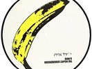Andy Warhol (Pic Disc) - VELVET UNDERGROUND & NICO [LP]