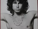 THE DOORS The Best Of Double LP    Mint Condition   Made in Germany 1985