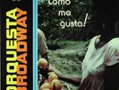 Orquesta Broadway-LP Como Me Gusta.Rare Orig.1st. Press.On All-Art 1971.Ex Copy.