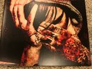 The Amity Affliction Youngbloods Vinyl Rare