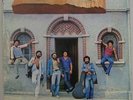 PAU BRASIL - 