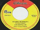 LOS DESTELLOS 