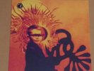 THE BRIAN JONESTOWN MASSACRE -Fist Full Of Bees- 12