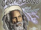 Cedric Congo meets Mad Professor : Cedric Congo Meets Mad Professor VINYL 12