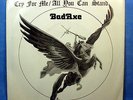 no more available BadAxe [Bad Ax,