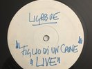 LIGABUE figlio d un cane - non è tempo per noi RARO TEST PRESSING cod.903172966
