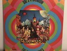 NEAR MINT Rolling Stones She's a Rainbow/2000 Light Years Rare Picture Sleeve