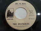 VG Vejtables Feel The Music/Shadows RARE 1966 SNOTTY HARD DRIVING GARAGE FUZZ 45