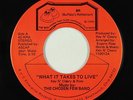 Modern Soul 45 - Chosen Few Band - What It Takes To Live - BR - VG++ mp3 - rare