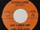 JOHNNY GUITAR WATSON 