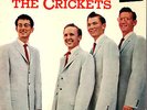 THE CRICKETS [BUDDY HOLLY]  