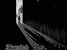 DRUDKH-THEY OFTEN SEE DREAMS ABOUT THE SPRING VINYL LP NEW