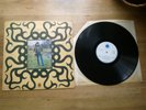 rick hayward very rare orig 1971 blue horizon lp record