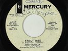 Northern Soul 45 - Jimmy Norman - Family Tree - Mercury - mp3