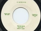 SWEET LEAF Indian Man Elmwood rare Colorado rock 1975 45 Norman Petty Studios