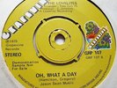 THE LOVELITES   GET IT OFF MY CONSCIENCE c/w OH WHAT A DAY 1975 GRAPEVINE PROMO