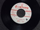 northern soul ANDRE WILLIAMS/GINO PARKS Put a Chain On it FORTUNE 847 LISTEN