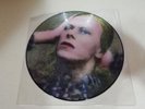 DAVID BOWIE HUNKY DORY PICTURE DISC 12