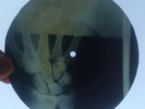 BEATLES - FROM ME TO YOU - UNIQUE USSR GEORGIAN X-RAY ROENTGEN HAND BONES RECORD
