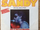 Bruce Springsteen      Sandy / The E Street Shuffle      CBS 3512    Promo Vinyl