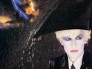 PRE-ORDER Japan - Gentlemen Take Polaroids (Half Sp (Vinyl RELEASE: 31 Aug 2018)