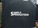 Bruce Springsteen - Simply Springsteen 2LP Double Live Picture Disc 1985