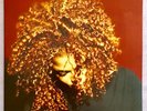 Janet Jackson - The Velvet Rope / 2LP - UK ORIGINAL - 1997 - Gatefold Jacket