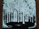 THE ICONOCLAST -7