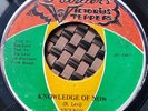 Viceroy Knowledge Of Now 7