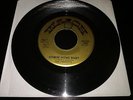 THE PROFITTS Watch 45 RARE OBSCURE CRUDE NORTHERN SOUL GARAGE b/w JAZZ FUNK HEAR