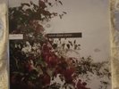 never shout never - what is love?  Teal VINYL 2010 release first press