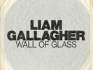 LIAM GALLAGHER WALL OF GLASS ONE SIDED ETCHED 7