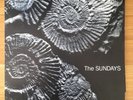 The Sundays - reading, writing and arithmetic - Picture Disc - Vinyl - LP