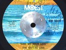 FUNK SOUL 45 - THE SISTERS LOVE - GIVE ME YOUR LOVE BREAKS Mowest OG 1973 HEAR