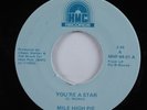 Modern Soul Boogie 45 MILE HIGH PIE You're A Star HMC VG++ HEAR
