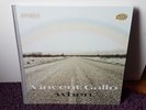 Vincent Gallo When LP vinyl  - Warp LP 87 2001 cloth spine