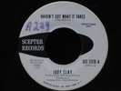 Judy Clay-Haven't Got What It Takes-Scepter 12135-WLP PROMO NORTHERN RARE