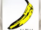 The Velvet Underground & Nico Andy Warhol VINYL RECORD 2008 4M154 180 Gram LP