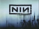 NINE INCH NAILS WITH TEETH 2x12