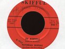PICTORIAN SKIFFULS In Awhile on Skifful Garage 45 Hear
