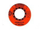 The Vibrations 45 Poetique de Joy - Rare Custom Garage Soul - HEAR