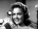 Shelley Fabares ?– Lost Summer Love Label: Vee Jay Records ?– VJ 632  45
