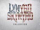 Lynyrd Skynyrd Collected, 180 Gram Colored Vinyl 2LP (New)